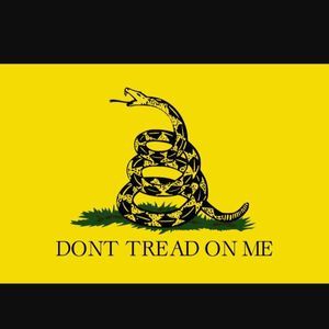 Meet your Posher, Hayden